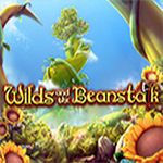 Wilds and the Beanstalk