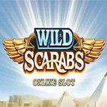 Wild Scarabs